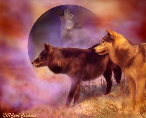Серия "Волки" - животные, волки, луна, пейзаж - оригинал