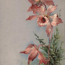 Оригинал схемы вышивки «Long Stemmed Pink Flowers with Greenery» (№462564)
