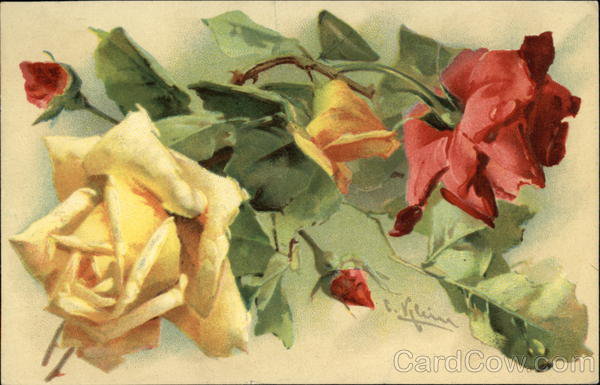 Red and Yellow Roses - Blooms and Buds - оригинал