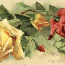 Схема вышивки «Red and Yellow Roses - Blooms and Buds»