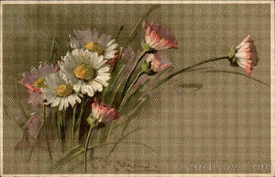 Painting of Pink, White & Yellow Daisies - предпросмотр