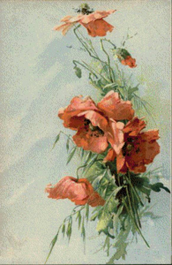 Red Poppies - предпросмотр