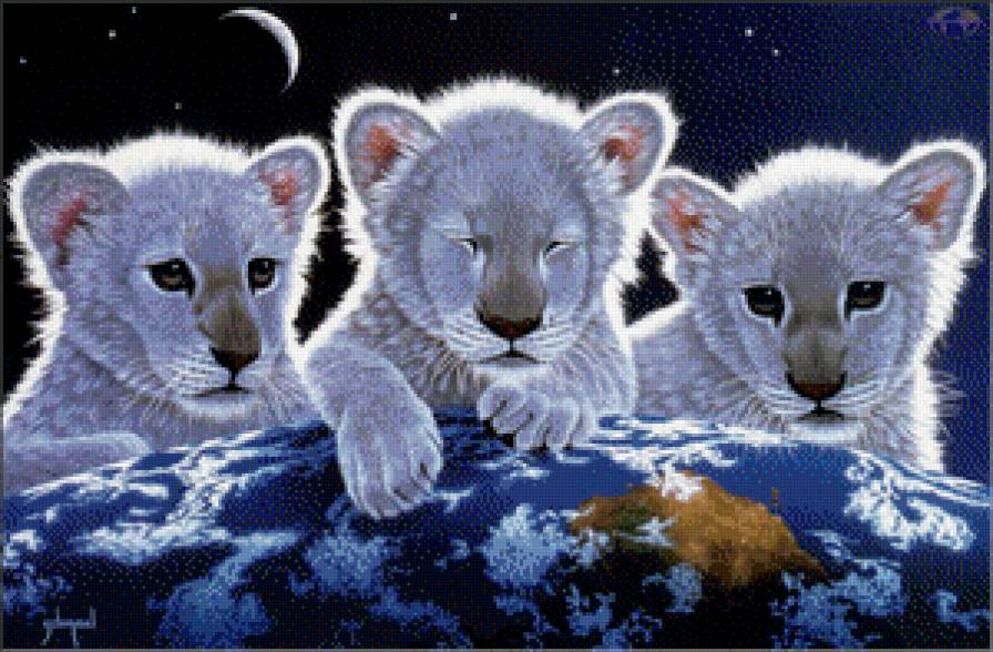 Львята - львы, планета земля, животные, кошки - предпросмотр