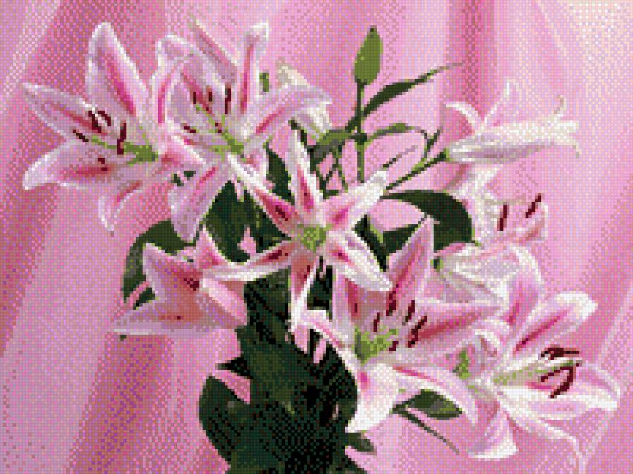 букет лилий - цветы, букет - предпросмотр