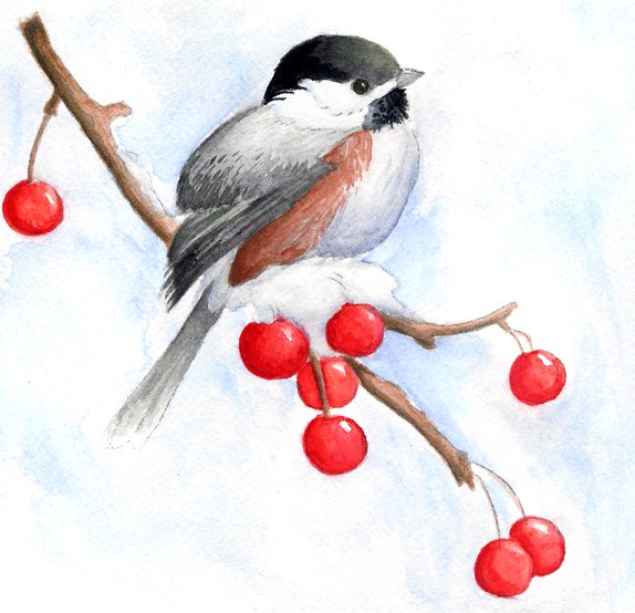 Синичка с ягодками - снег, ягодки, рождество, синички, птицы, синичка, вишенки, зима - оригинал