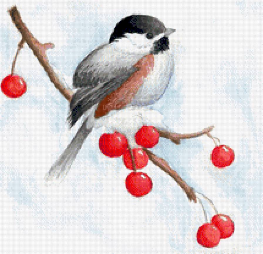 Синичка с ягодками - ягодки, вишенки, зима, птицы, рождество, синичка, синички, снег - предпросмотр