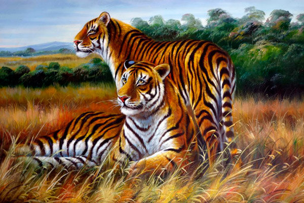 Тигринная пара - тигры, животные - оригинал