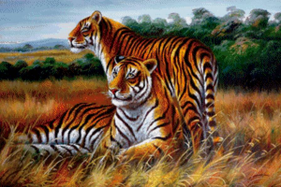 Тигринная пара - тигры, животные - предпросмотр