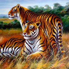 Тигринная пара