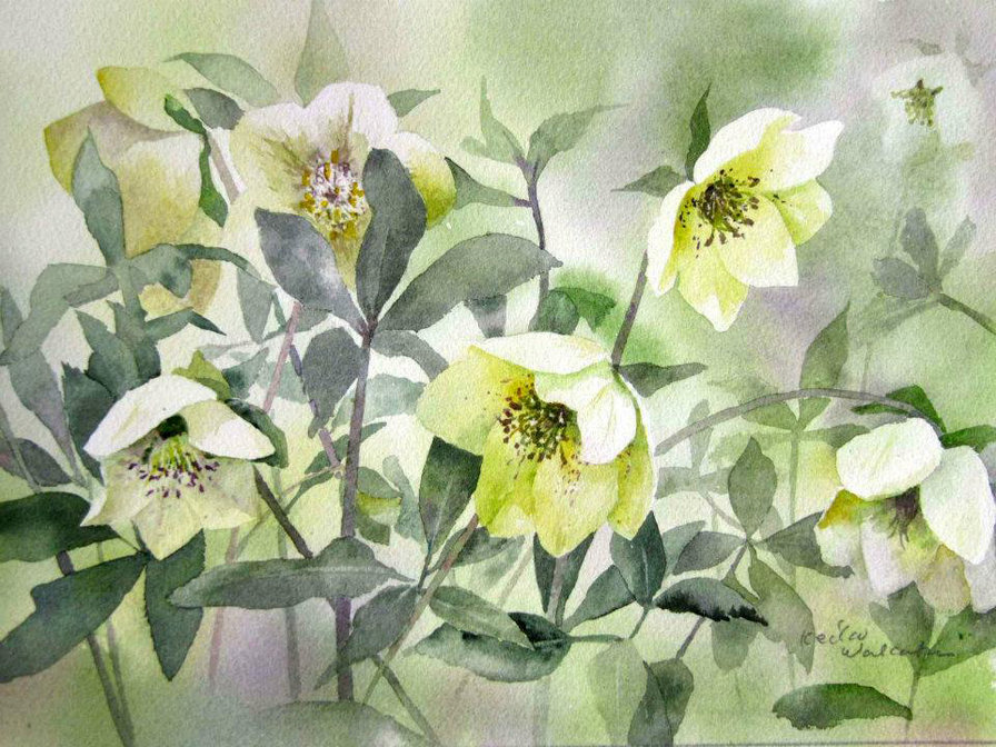 Японская цветочная акварель - восток, азия, цветы - оригинал