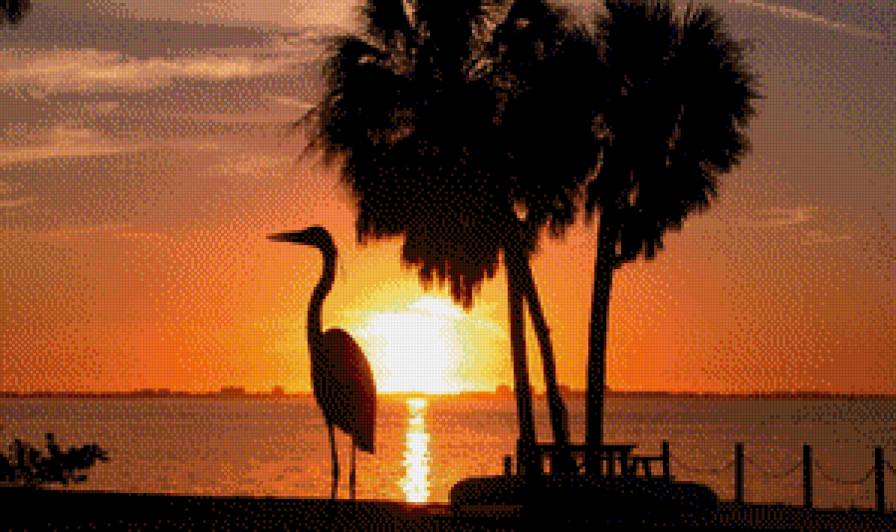 серия "закат" - закат.дерево.птица - предпросмотр