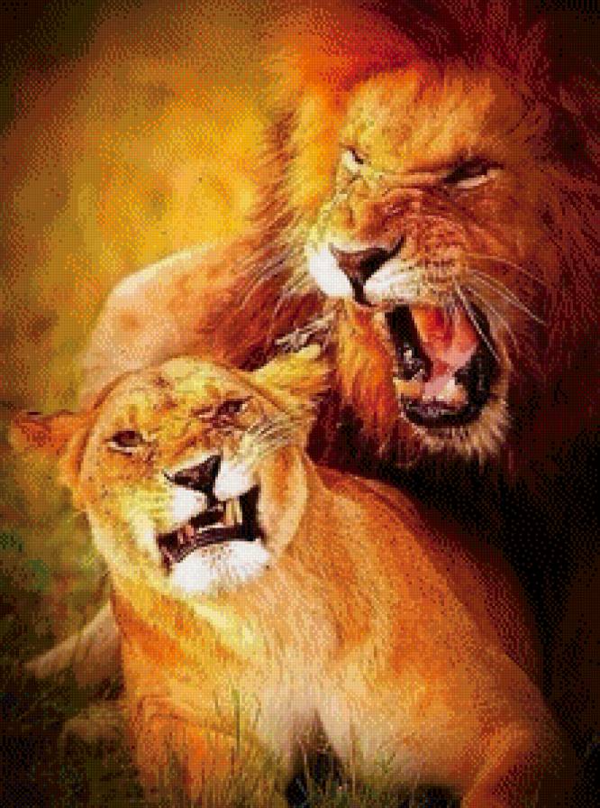 Лев и львица - львица, пара, семья, лев - предпросмотр