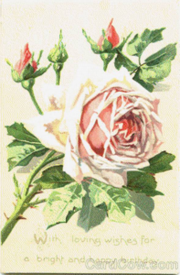 With Loving Wishes For A Bright And Happy Birthday - предпросмотр