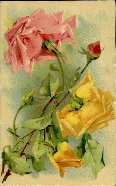 Roses - оригинал