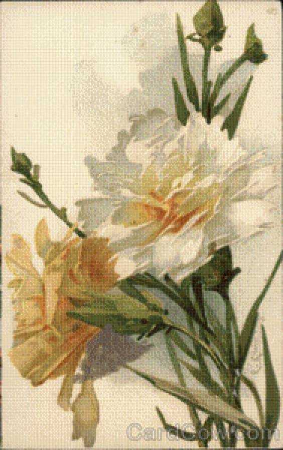 White & Tan Flowers with Long Green Stems - предпросмотр