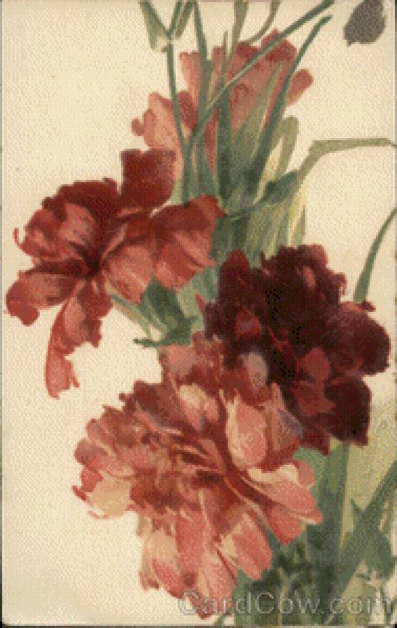 Large Red Flowers - предпросмотр