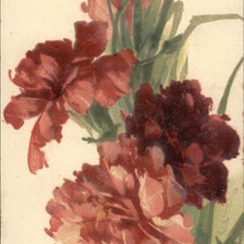 Оригинал схемы вышивки «Large Red Flowers» (№463155)