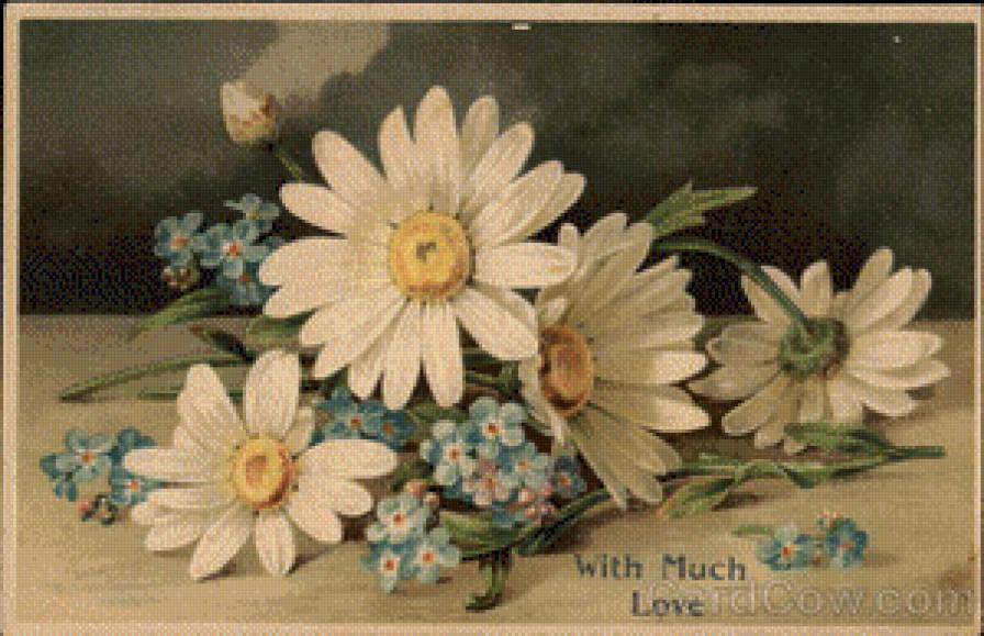 With Much Love - предпросмотр