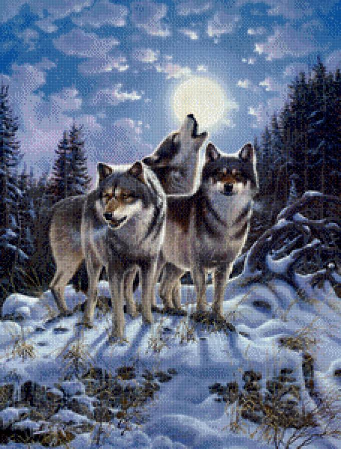 песня о любви - волки - предпросмотр