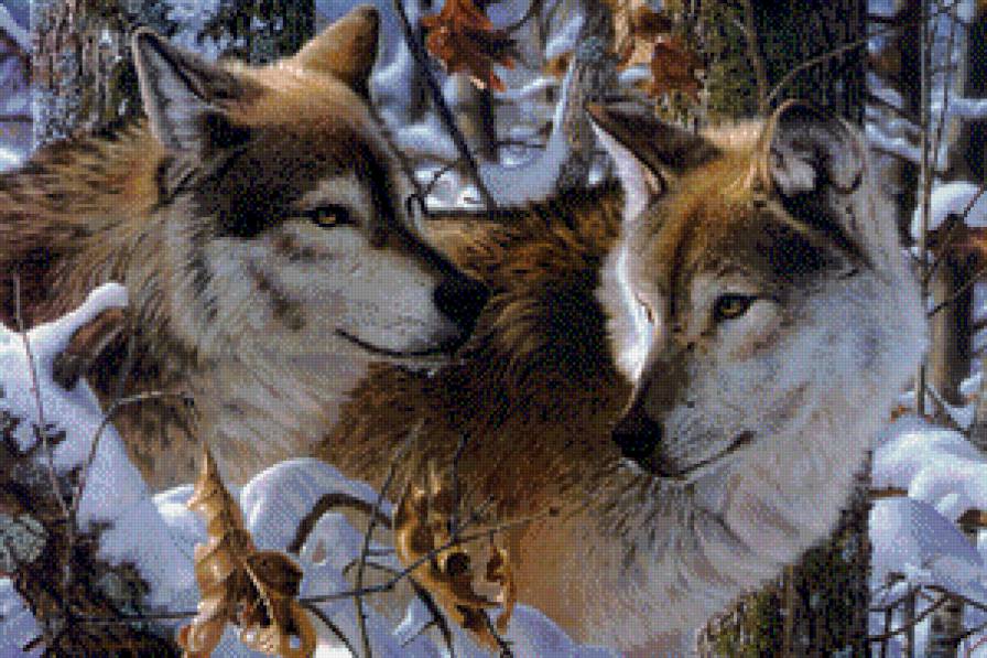 великолепная пара - волки - предпросмотр