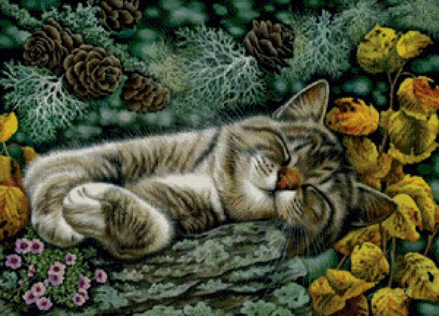 сладкий  сон - кошки - предпросмотр