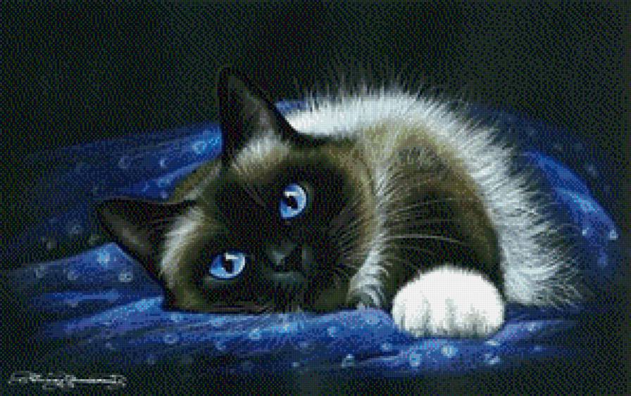 голубоглазое чудо - кошки - предпросмотр