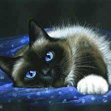 Схема вышивки «голубоглазое чудо»