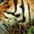 Предпросмотр схемы вышивки «тигр» (№463281)