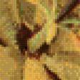 Предпросмотр схемы вышивки «California Wild Flowers - Yellow Mariposa Lily» (№463358)