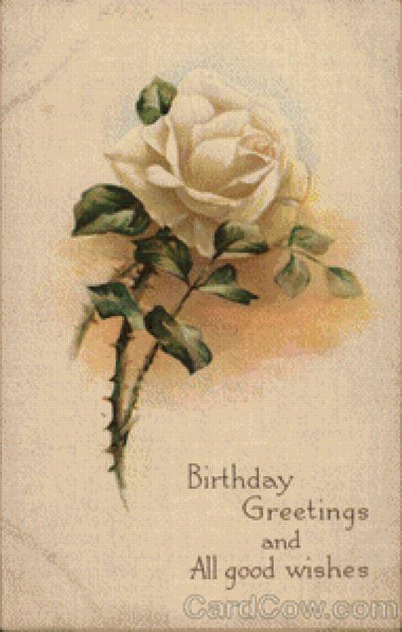 One White Rose - предпросмотр