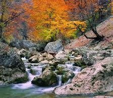 Схема вышивки «№463638»