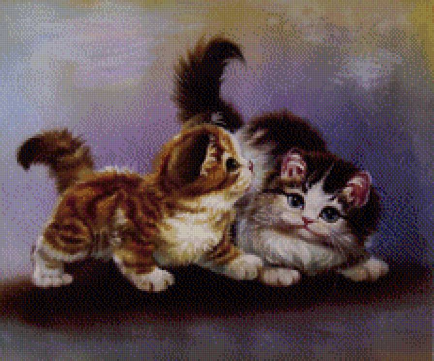 Пушистые комочки - кошки, очаровашки, лапушки, кошечки - предпросмотр