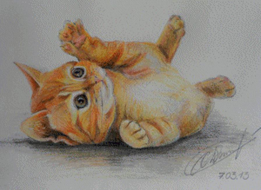 Серия "Кошки" - животные, кошки - предпросмотр