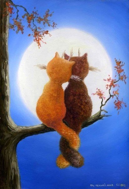 Влюбленные котики - март, кошки, луна, любовь - оригинал