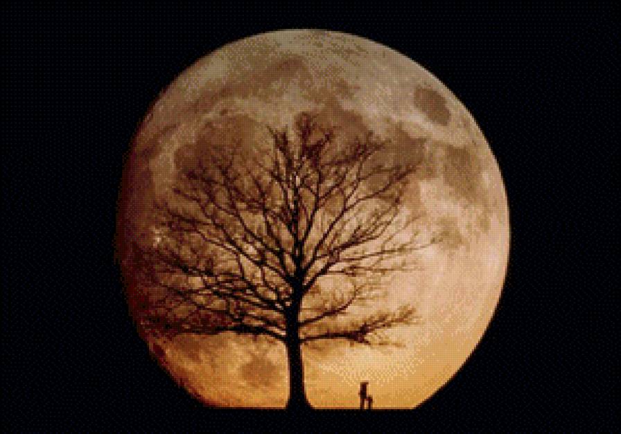 Полнолуние - луна, ночь, месяц - предпросмотр