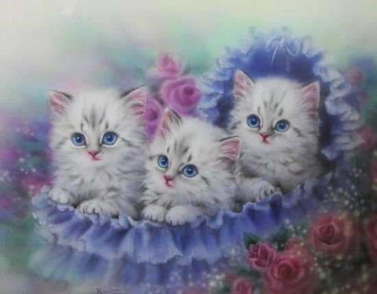 Котята - оригинал