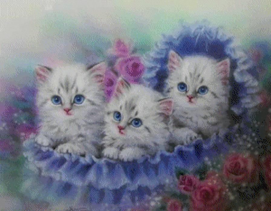 Котята - предпросмотр