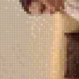 Предпросмотр схемы вышивки «№463892»