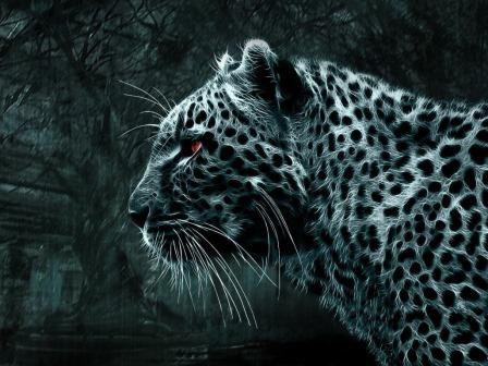 Леопард - животные, леопард - оригинал