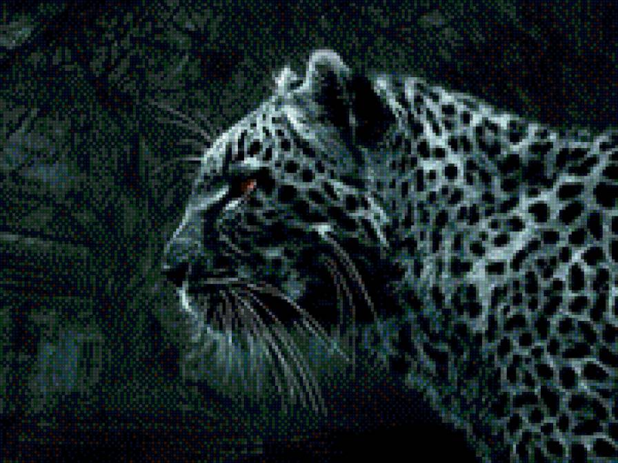 Леопард - животные, леопард - предпросмотр