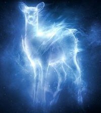 Схема вышивки «№464222»