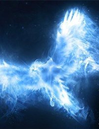 №464224 - оригинал