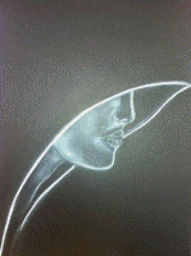 девушка в капюшоне - предпросмотр