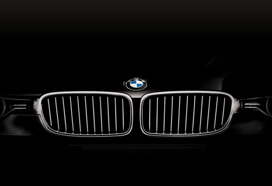 bmw ноздри - оригинал