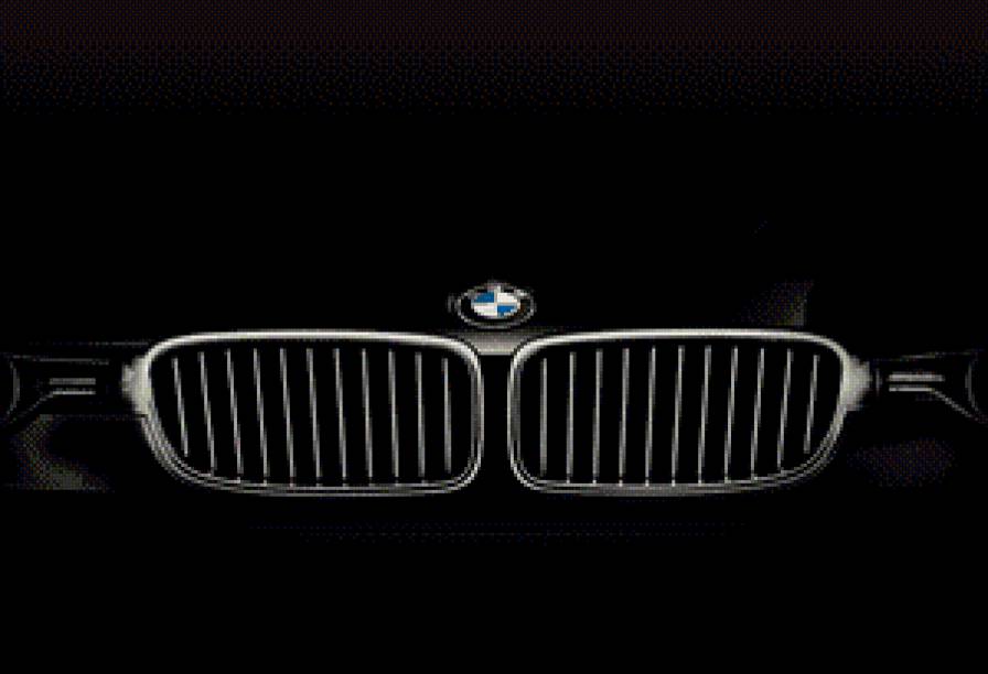 bmw ноздри - предпросмотр