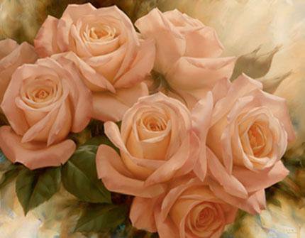 Роза на 35 цветов - букет, розы - оригинал