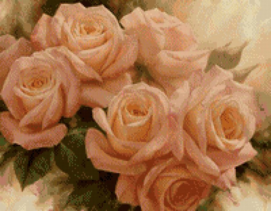 Роза на 35 цветов - букет, розы - предпросмотр