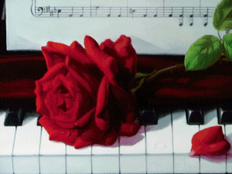 роза на рояле - живопись, цветы, роза, ноты - предпросмотр