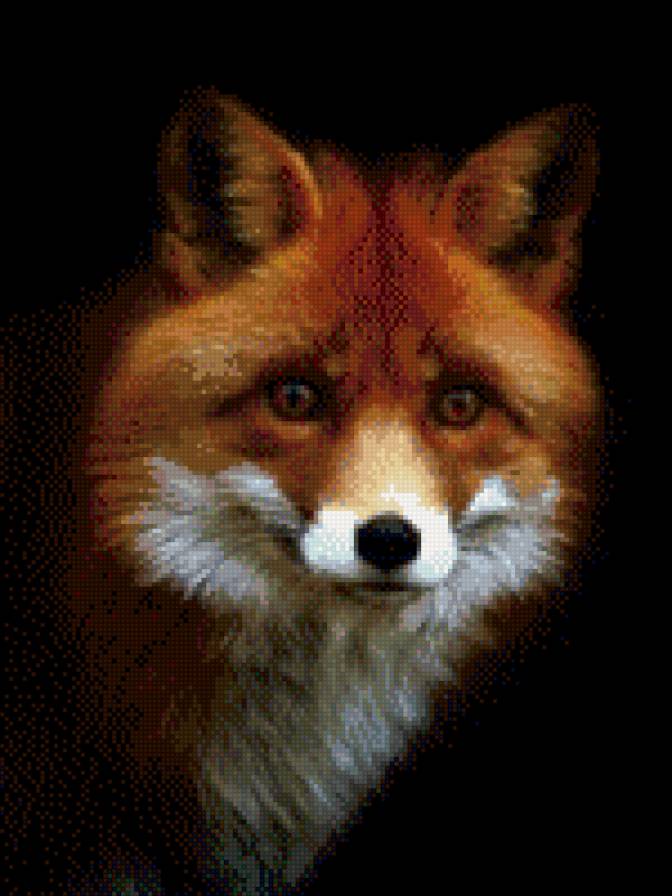 лис - предпросмотр