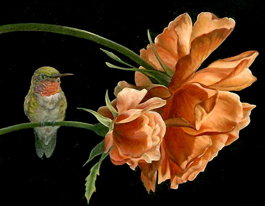 колибри и цветы - птицы, роза, розы - оригинал